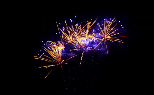 49‘S Gold Tail to Big Gold Palm+Blue (Z, 28 Sec.)